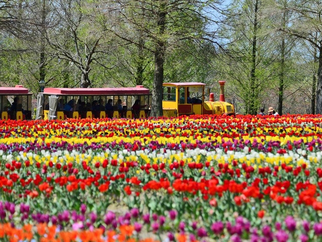 滋賀農業公園 ブルーメの丘 / 滋賀