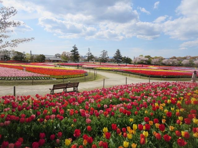 なばなの里 / 三重