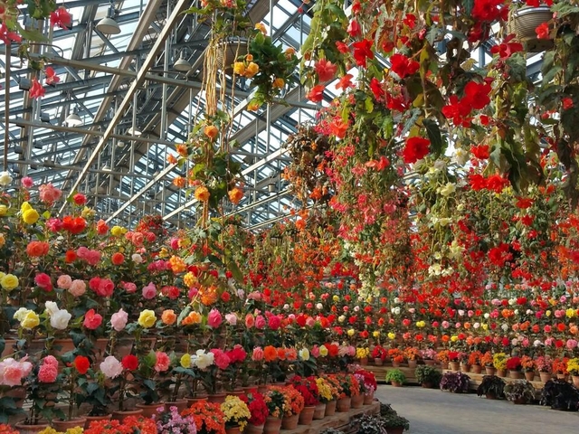 なばなの里 / 三重