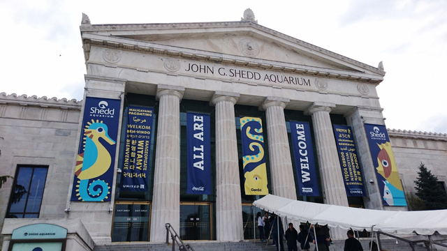 シェッド水族館