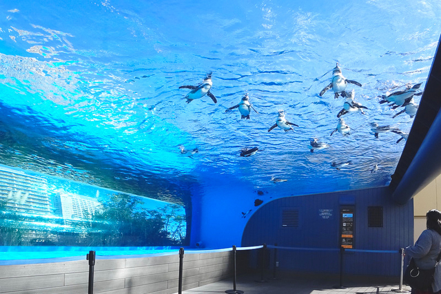サンシャイン水族館