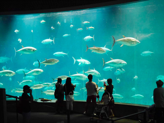 葛西臨海水族園