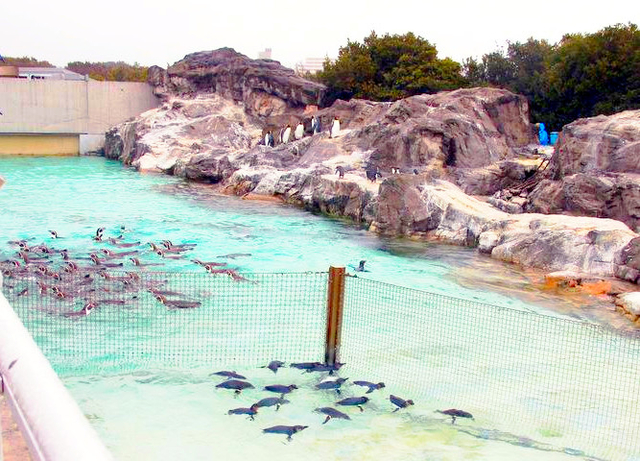 葛西臨海水族園