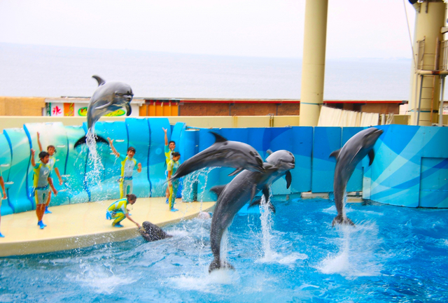 新江ノ島水族館