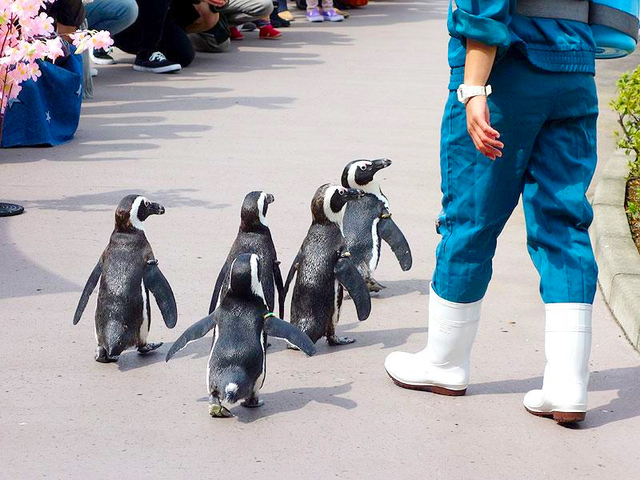 八景島シーパラダイス