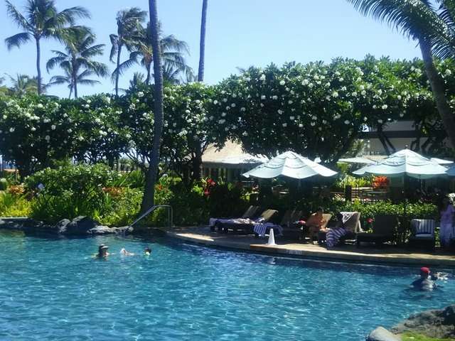 5.ザ ウェスティン マウイ リゾート&スパ カアナパリ