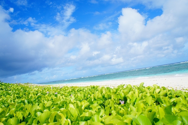 リティディアンビーチ