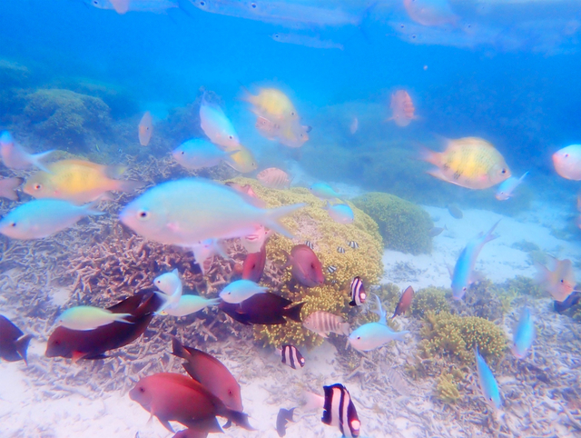 イパオ ビーチパーク