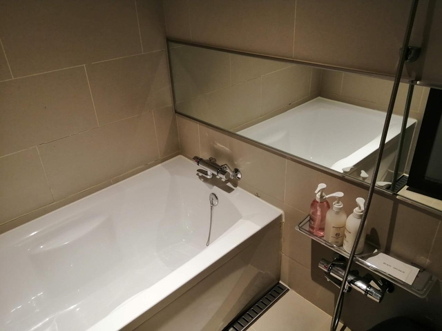 3. ホテル グレイスリー ソウル / 市庁