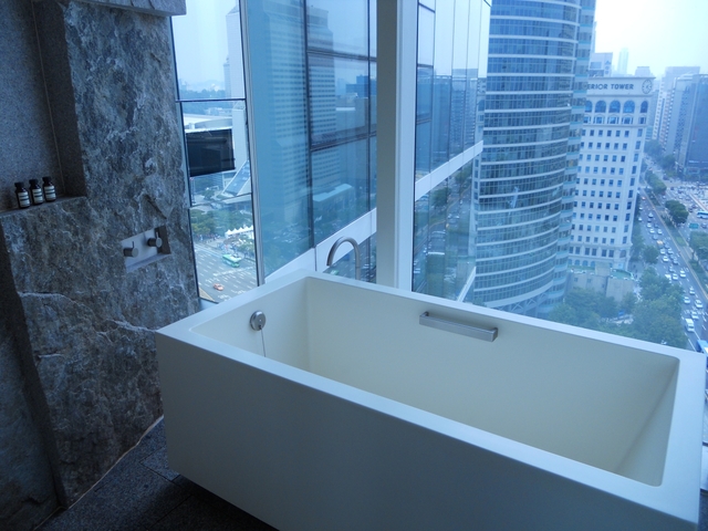 5. パーク ハイアット ソウル / 三成(サムソン)