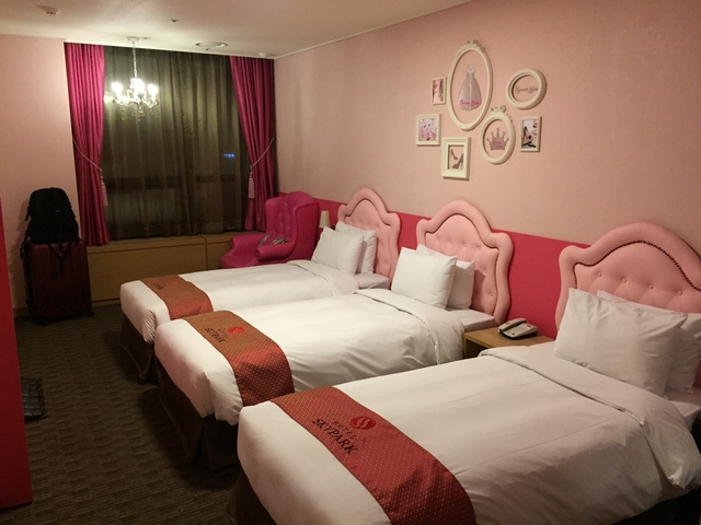 8. ホテル スカイパーク セントラル ミョンドン / 明洞