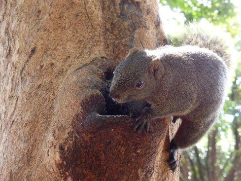 二二八和平公園