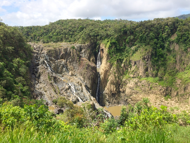 キュランダ観光