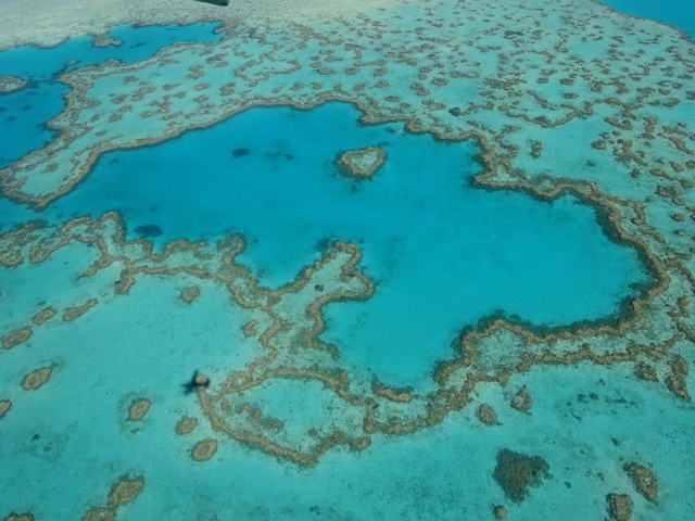 グレート バリア リーフ