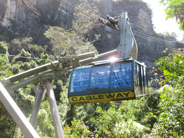 シーニック ワールド