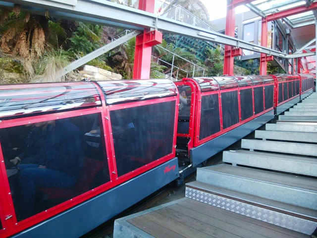 シーニック ワールド