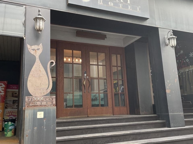 6. ピーターキャット ホテル シンチョン（ホンデ）