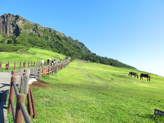 済州島ってどんなところ？