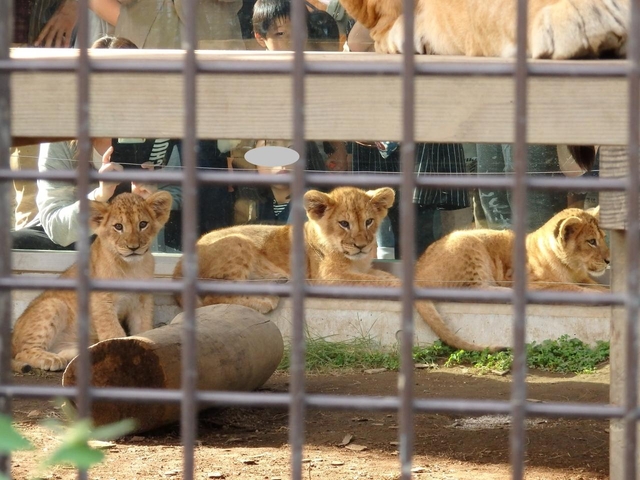 桐生が岡動物園