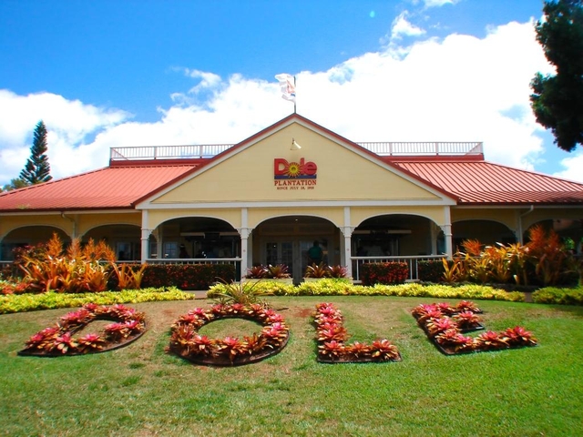 ドール プランテーション
