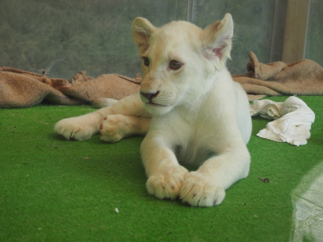 姫路セントラルパーク