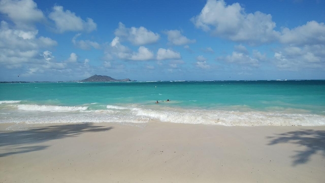 カイルア ビーチパーク