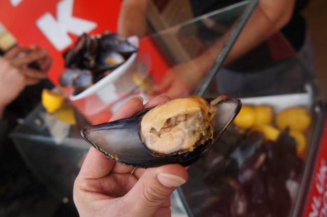 ミディエ・ドルマ