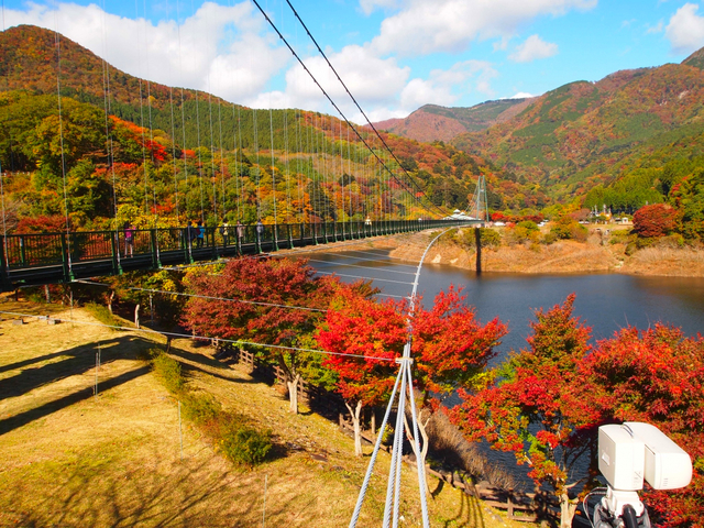 もみじ谷大吊橋