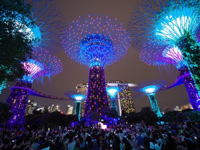 いかがでしたか？