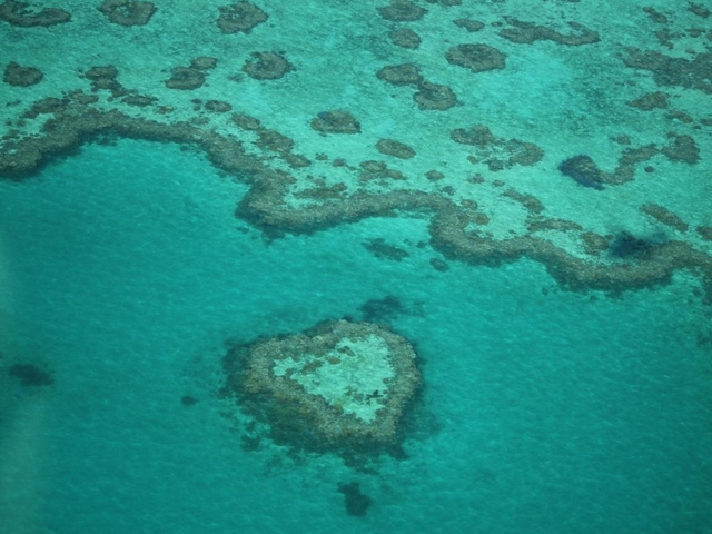 2.ハミルトン島