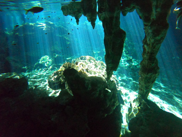 1.古代都市チチェン・イッツァ+セノーテ