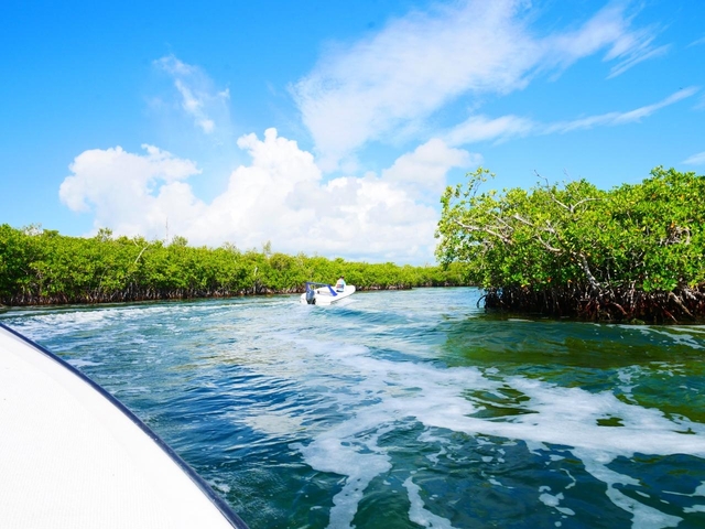 いかがでしたか？