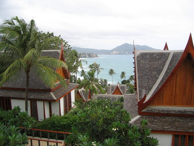 【16位】アマンプリ/ タイ