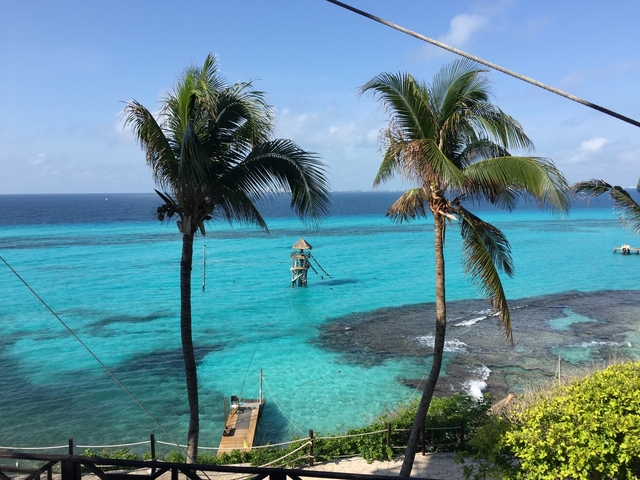 いかがでしたか？