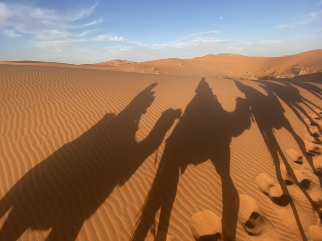 いかがでしたか