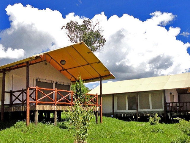 【8位】アッシュ マラ キャンプ / ケニア