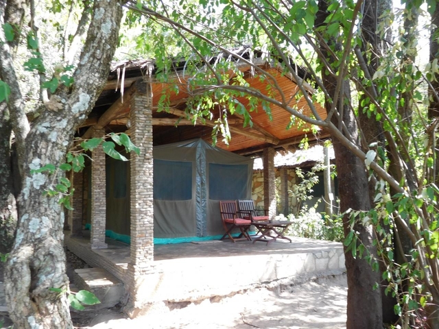 【4位】フィグ ツリー キャンプ / ケニア