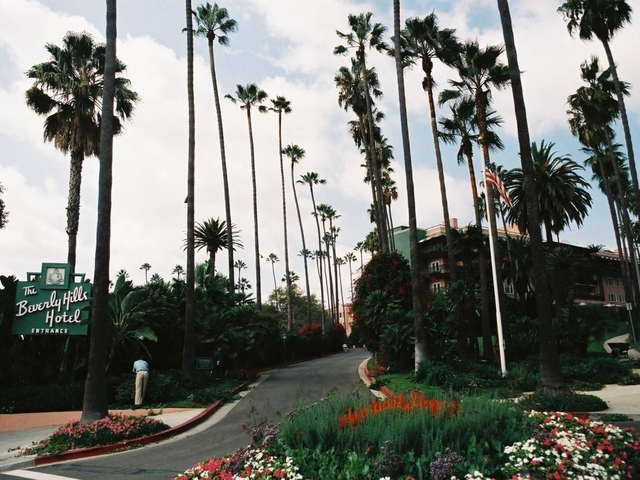 6. ザ ビバリー ヒルズ ホテル ドーチェスター コレクション