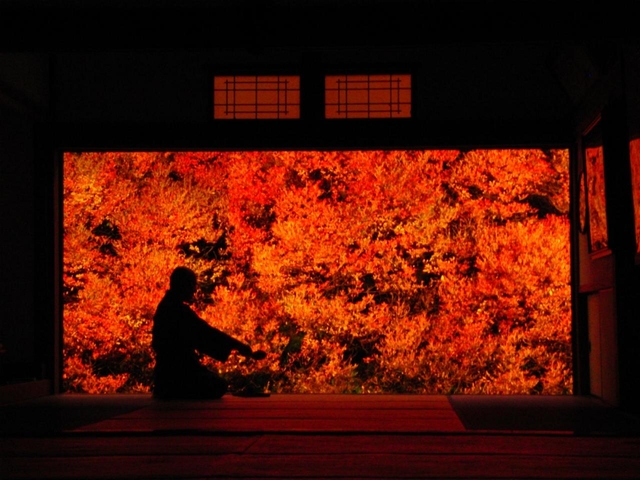 3. 安国寺のドウダンツツジ / 兵庫県