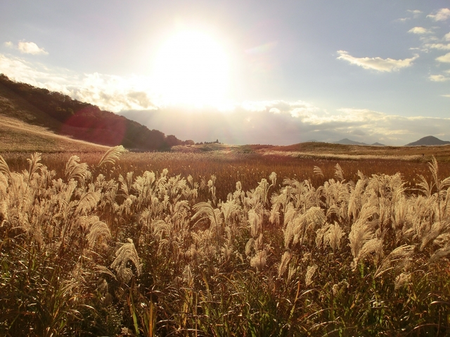 4. 曽爾高原のすすき / 奈良県