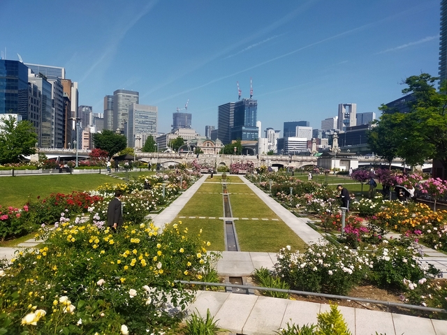 8. 中之島バラ園 / 大阪府