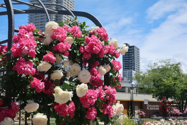 秋におすすめの絶景スポットはいかがでしたか。