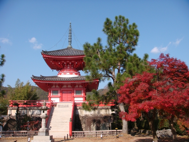 大覚寺 / 嵐山・嵯峨野・太秦・桂