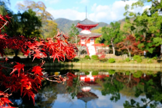 大覚寺 / 嵐山・嵯峨野・太秦・桂