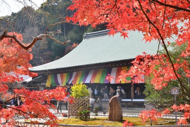 二尊院 / 嵐山・嵯峨野・太秦・桂