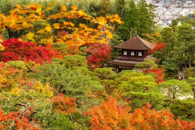 銀閣寺(慈照寺) / 下鴨・宝ヶ池・平安神宮