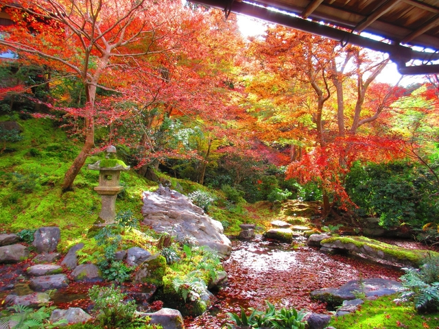 光明寺瑠璃光院 / 下鴨・宝ヶ池・平安神宮
