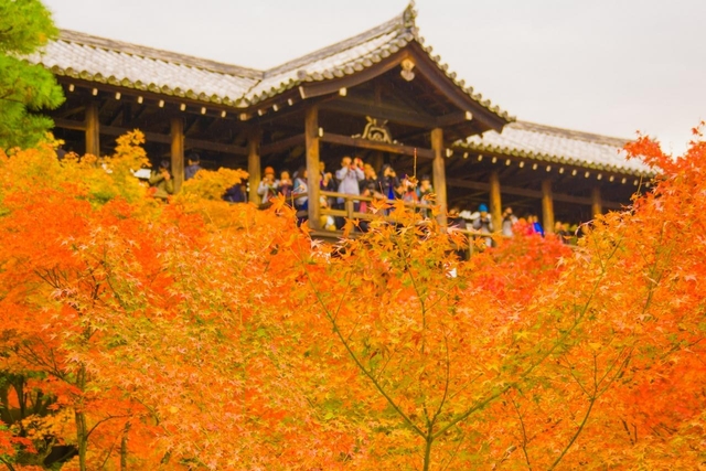 東福寺 / 東山・祇園・北白川