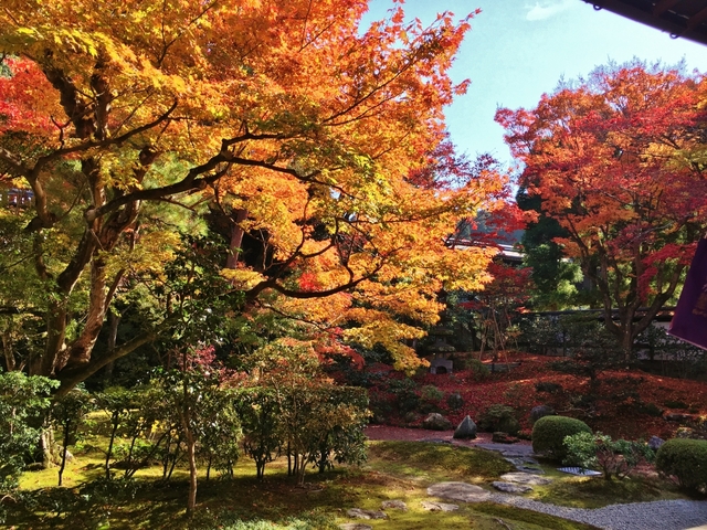 御寺 泉涌寺 / 東山・祇園・北白川