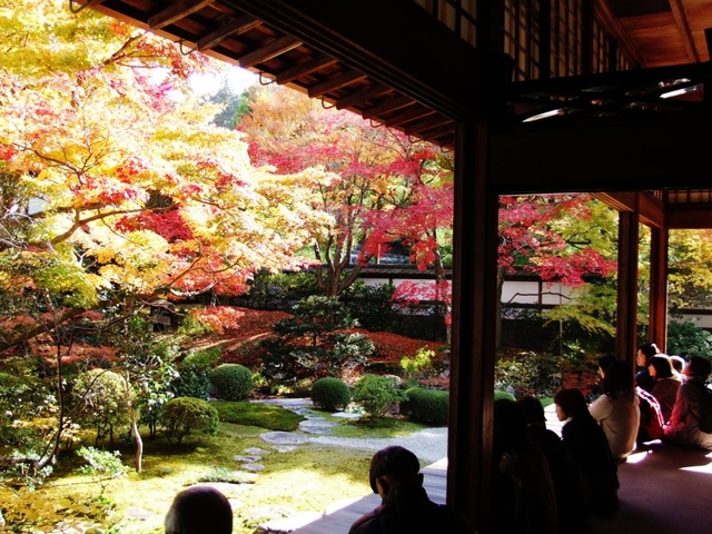 御寺 泉涌寺 / 東山・祇園・北白川